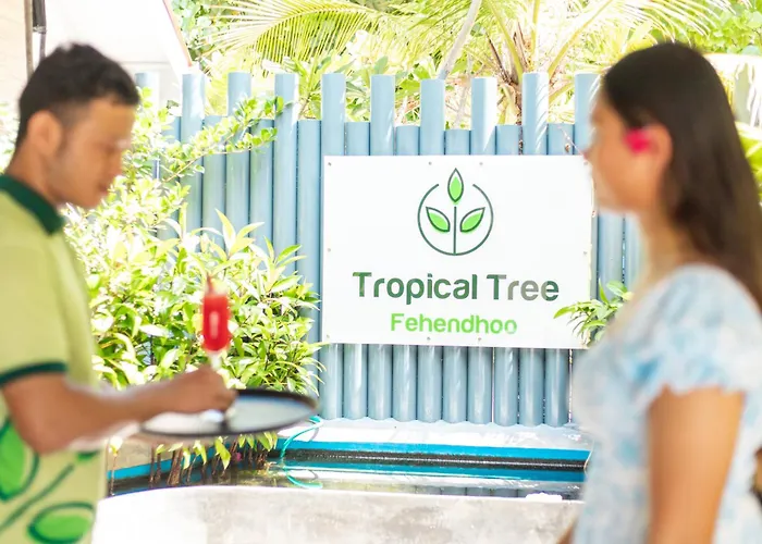 Tropical Tree