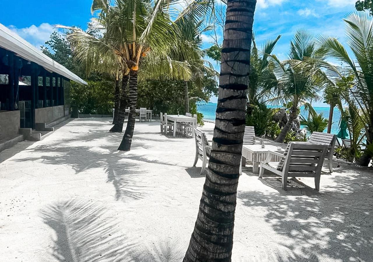 Tropical Tree Fehendhoo